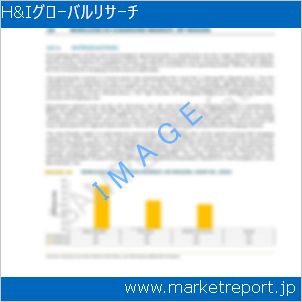 市場と産業調査レポートのイメージ